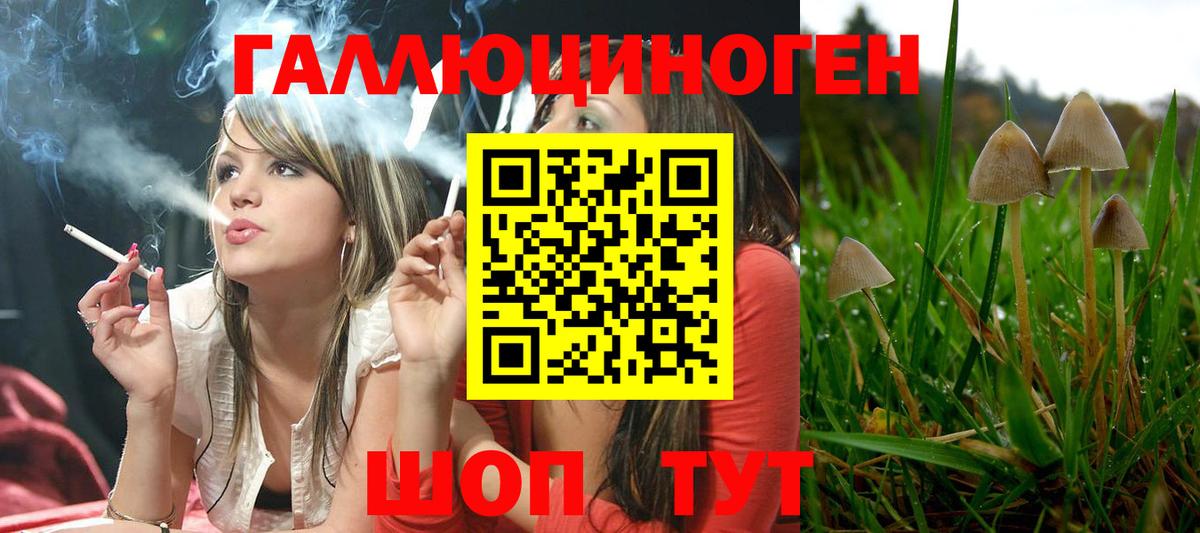 Псилоцибиновые грибы прущие грибы Обнинск